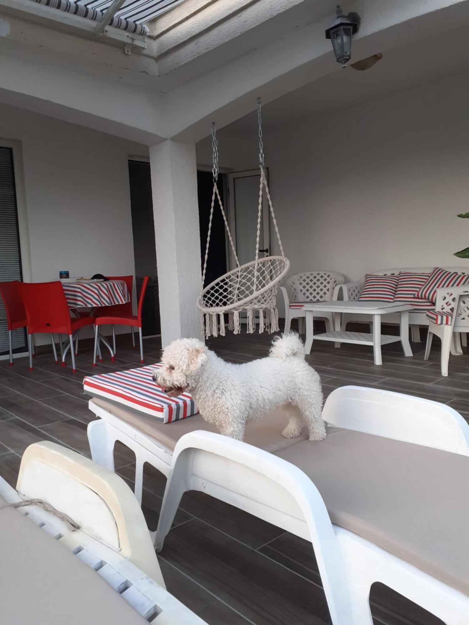 Guest House Cvoro Herceg Novi Kamer foto