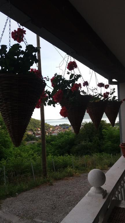 Guest House Cvoro Herceg Novi Buitenkant foto